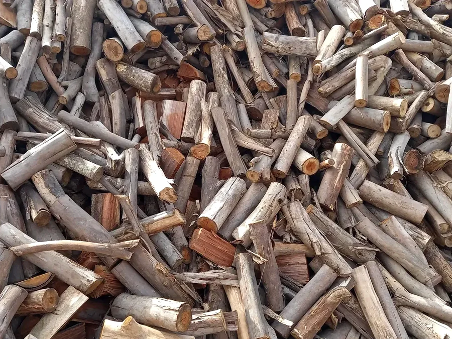 Pile de rolo seco de eucalipto, piezas cilíndricas delgadas cortadas a medida